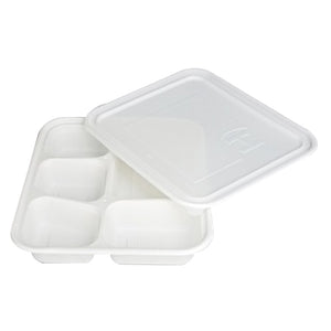 Biodegradable takeout box for delivery.