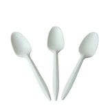 Biodegradable spoon.